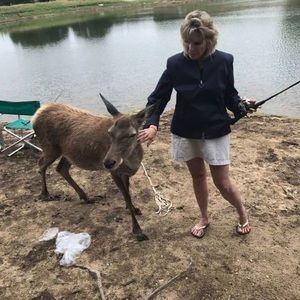 Meet your Posher, Debbie